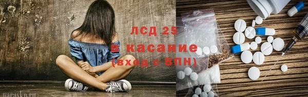 spice Инсар