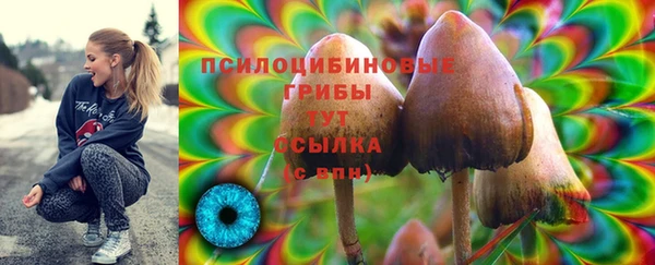 амфетамин Заводоуковск
