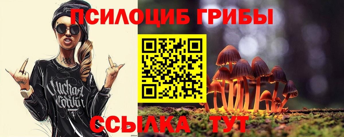 Псилоцибиновые грибы Psilocybine cubensis  закладка  Конаково  Галлюциногенные грибы мухоморы  Вход с VPN 